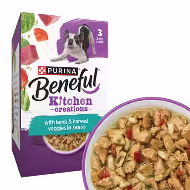 Purina Beneful Medleys Mediterranean Style with Real Lamb in Gravy