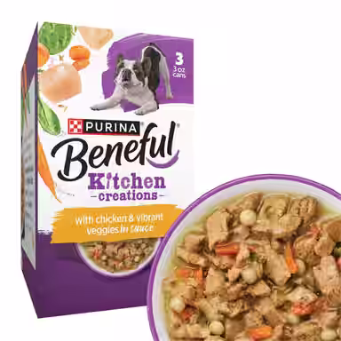 Purina Beneful Medleys Romana Style with Real Chicken in Gravy