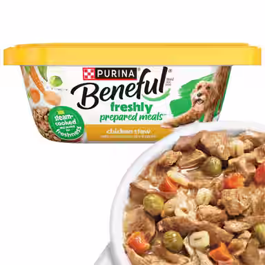 Purina Beneful Freshly Prepared Meals Chicken Stew with Rice, Carrots, Peas & Barley