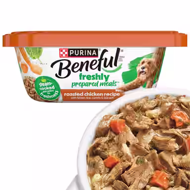 Purina Beneful Freshly Prepared Meals Roasted Chicken Recipe with Brown Rice, Carrots & Spinach