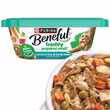 Purina Beneful Freshly Prepared Meals Savory Rice & Lamb Stew with Peas & Carrots