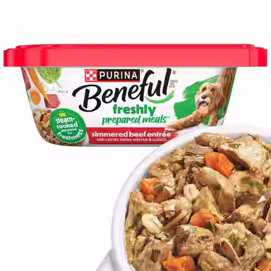 Purina Beneful Freshly Prepared Meals Simmered Beef Entree with Carrots, Barley, Wild Rice & Spinach