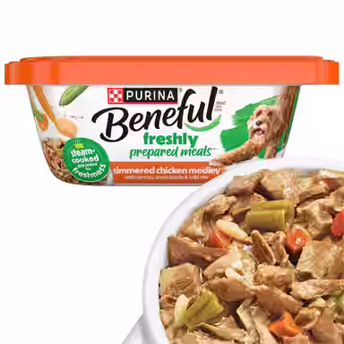 Purina Beneful Freshly Prepared Meals Simmered Chicken Medley with Carrots, Green Beans & Wild Rice