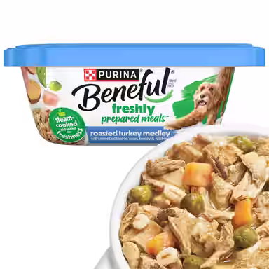 Purina Beneful Freshly Prepared Meals Roasted Turkey Medley with Wild Rice, Peas & Barley