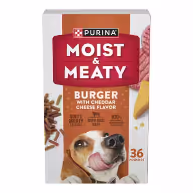 Moist & Meaty Burger with Cheddar Cheese Flavor
