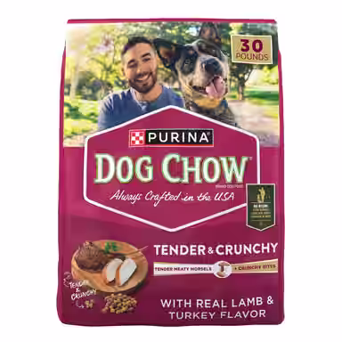 Dog Chow Tender & Crunchy Adult Real Lamb & Turkey Flavor