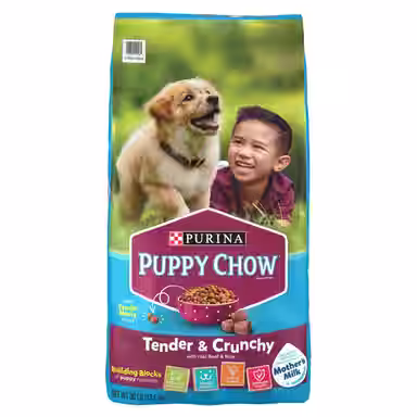 Puppy Chow Tender & Crunchy with Real Beef