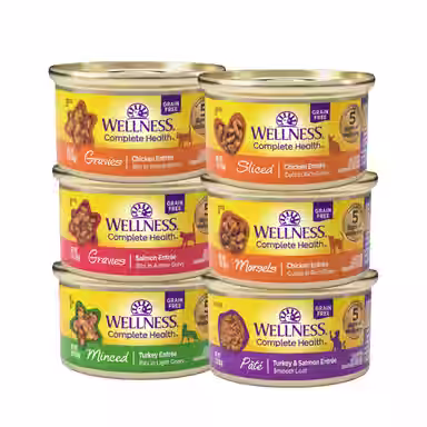 Wellness Complete Health Multiform Sampler Pack