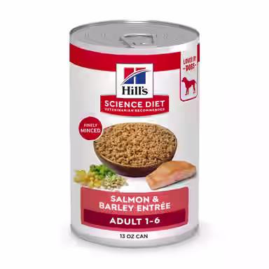 Hill's Science Diet Adult Salmon & Barley Entree Minced