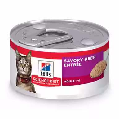 Hill's Science Diet Adult Savory Beef Entree Pate