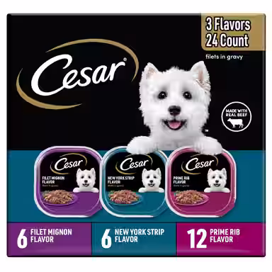 Cesar Filets in Gravy Beef Flavors Variety Pack Small Breed