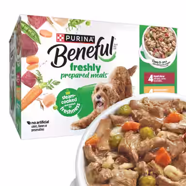 Purina Beneful Freshly Prepared Meals Variety Pack