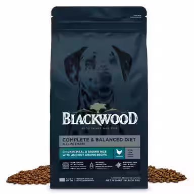 Blackwood Complete & Balanced Diet Adult Chicken Meal & Brown Rice with Ancient Grains Recipe