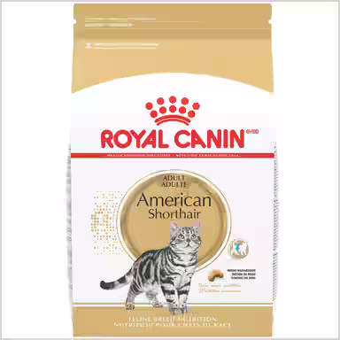 Royal Canin Feline Breed Nutrition American Shorthair
