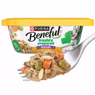 Purina Beneful Freshly Prepared Blends with Chicken, Carrots, Peas & Wild Rice Wet Dog Food 10-oz container, case of 8
