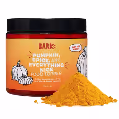 BARK Pumpkin Spice Digestive Broth Powder