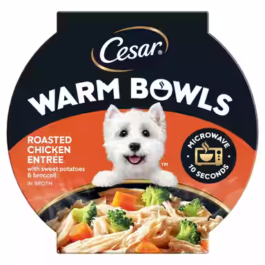 Cesar Warm Bowls Roasted Chicken Entree Shredded