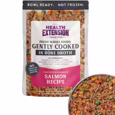 Health Extension Gently Cooked Grain-Free Salmon Recipe