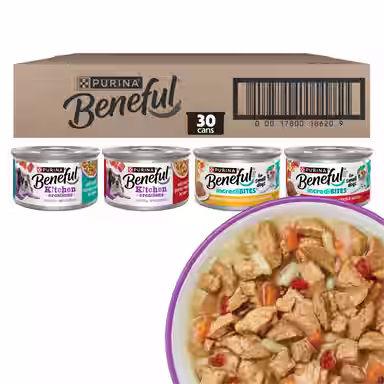 Purina Beneful Incredibites & Medleys Variety Pack