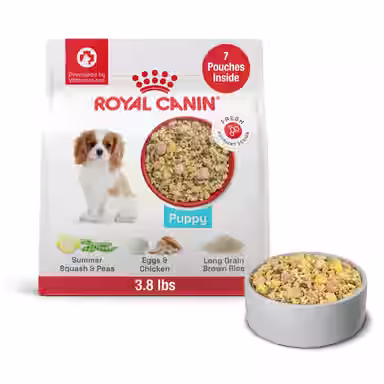 Royal Canin Fresh Health Nutrition
