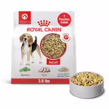 Royal Canin Fresh Health Nutrition