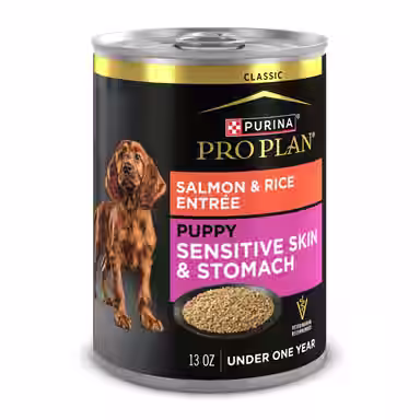 Purina Pro Plan Sensitive Stomach & Skin Puppy Salmon & Rice Entrée Classic