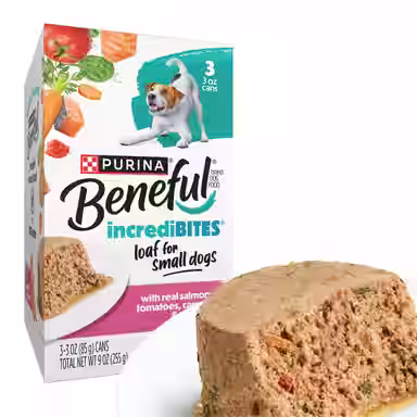 Purina Beneful IncrediBites Pate with Real Salmon Recipe Small Breed