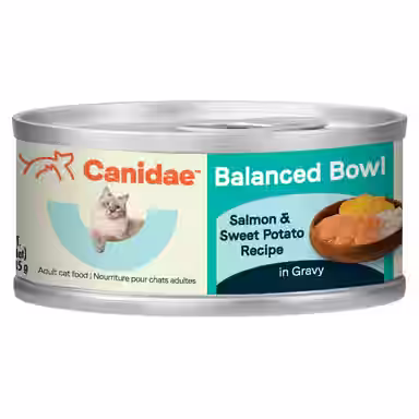 CANIDAE Balanced Bowl Salmon & Sweet Potato Recipe in Gravy
