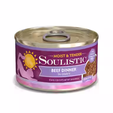Soulistic Moist & Tender Beef Dinner in Gravy