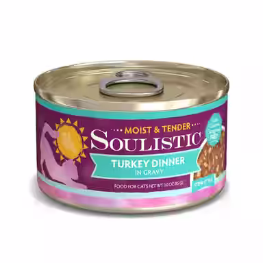 Soulistic Moist & Tender Turkey Dinner in Gravy