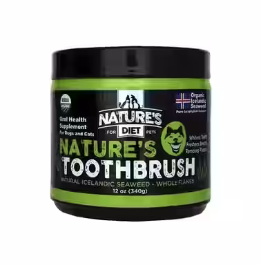Nature's Diet Toothbrush Systemic Plaque Remover