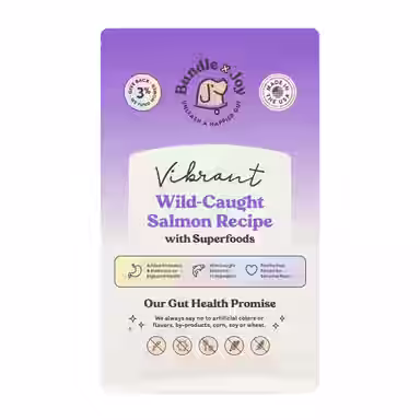 Bundle x Joy Vibrant Salmon Recipe