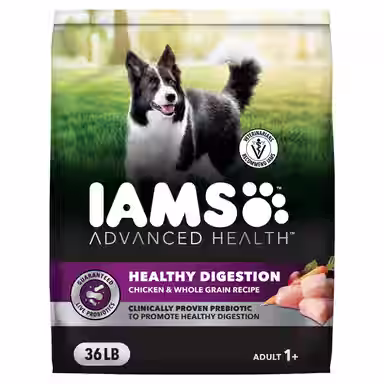 Iams Advanced Health Adult Healthy Digestion with Real Chicken