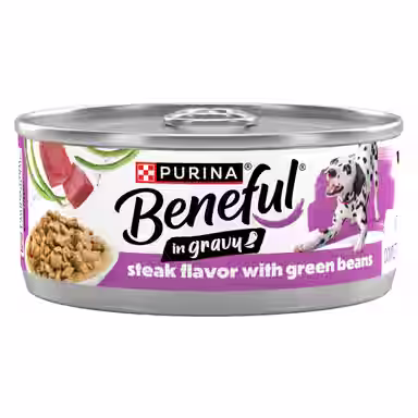Purina Beneful Steak with Green Beans in Gravy