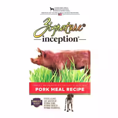 Inception Pork Meal Recipe