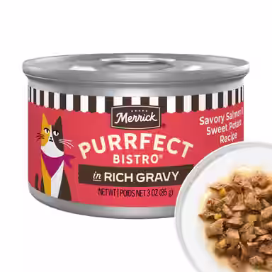 Merrick Purrfect Bistro Savory Salmon & Sweet Potato Recipe in Rich Gravy