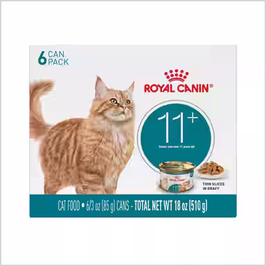 Royal Canin Feline Health Nutrition Aging 11+ Thin Slices in Gravy