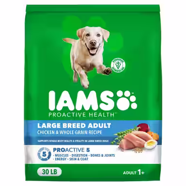 Iams Proactive Health Large Breed Adult with Real Chicken