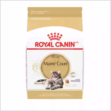 Royal Canin Royal Canin Maine Coon
