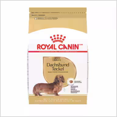 Royal Canin Breed Health Nutrition Dachshund