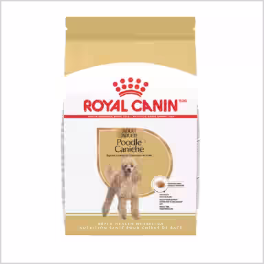 Royal Canin Breed Health Nutrition Poodle