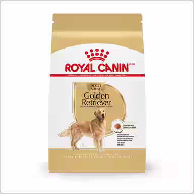 Royal Canin Breed Health Nutrition Golden Retriever