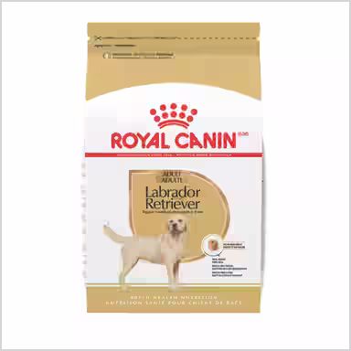 Royal Canin Breed Health Nutrition Labrador Retriever