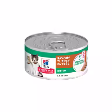 Hill's Science Diet Kitten Savory Turkey Entree