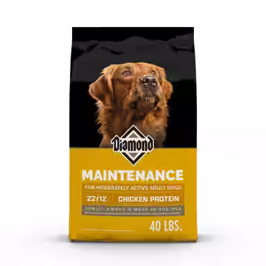 Diamond Maintenance 22/12 for Moderately Active Adult Dogs Dry Food