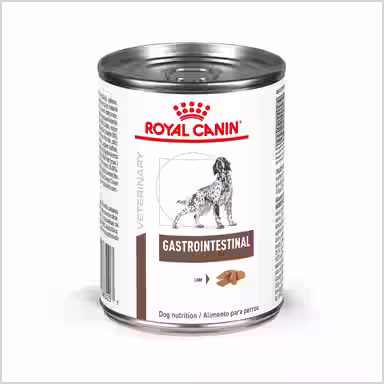 Royal Canin Veterinary Diet Adult Gastrointestinal Loaf