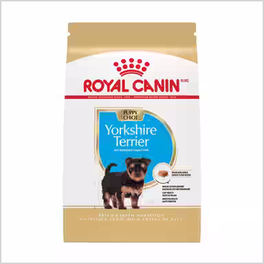 Royal Canin Breed Health Nutrition Yorkshire Terrier