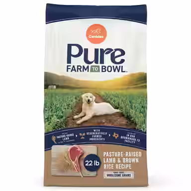 CANIDAE Pure Real Lamb & Brown Rice Recipe