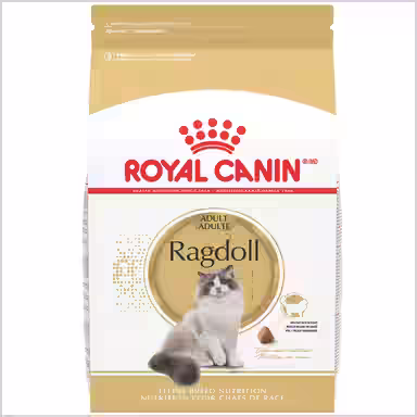 Royal Canin Feline Breed Nutrition Ragdoll