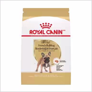 Royal Canin Breed Health Nutrition French Bulldog
